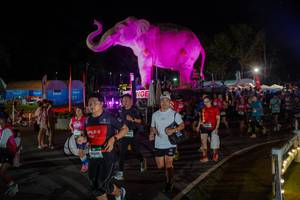 BIB: 
                            <button type="button" onclick="openModal(26552307)" class="btn btn-primary btn-sm float-right btn-popup" data-toggle="modal" data-target=".modal-high-quality">
                        <i class="fas fa-shopping-cart"></i> Add to Cart
                    </button>
                                            <button type="button" onclick="isThisMe(26552307, true)" class="btn btn-success btn-sm float-right btn-popup btn-isme hidden" data-toggle="tooltip" data-placement="bottom" title="นี่คือรูปของคุณใช่ไหม คลิกที่นี่เพื่อเอาเข้าอัลบั้ม">
                        <i class="fas fa-plus"></i> Add to album
                    </button>
                    <button type="button" onclick="isThisMe(26552307, false)" class="btn btn-warning btn-sm float-right btn-popup btn-isnotme hidden">
                        <i class="fas fa-ban"></i> Remove from album
                    </button>